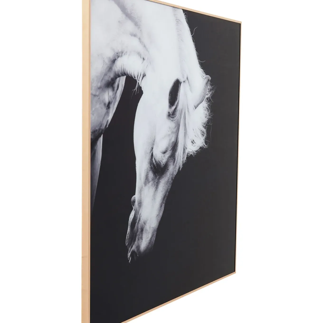 Tableau Frame Alu Proud Horse 100X100Cm