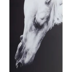 Tableau Frame Alu Proud Horse 100X100Cm