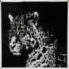 Tableau Frame Miroir Leopard 80X80Cm