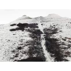 Tapis Hide Noir-Blanc 219X242Cm