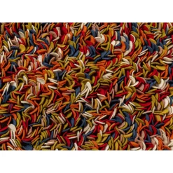 Tapis Tulip 170X240Cm