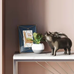 Tirelire Rockstar Pig
