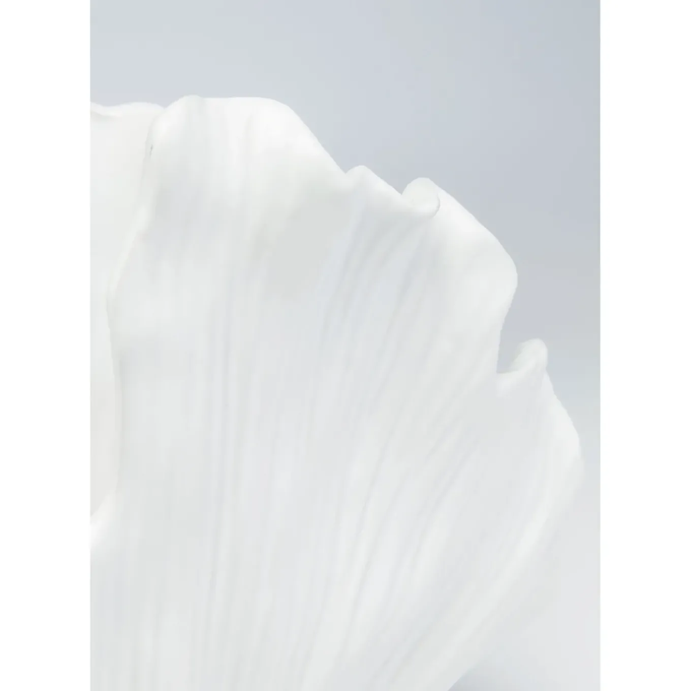 Vase Ginkgo Elegance 45Cm
