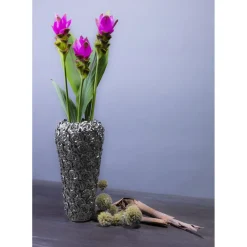 Vase Rose Multi Chrome Pm
